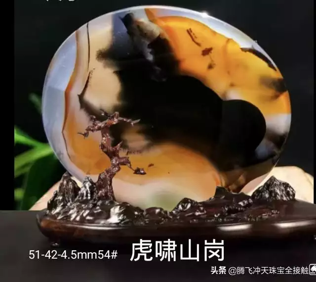 老虎的寓意和象征风水，虎字取名寓意及含义