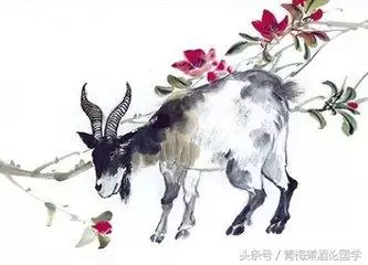 属猴改什么名字更好，适合属猴人幸运的 名