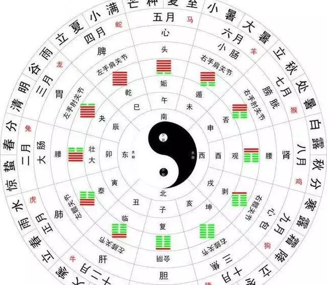 属蛇的什么数字是幸运数，属蛇人永久吉利数字和颜色