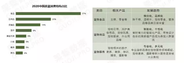 为什么羊狗一窝必定富，被狗跟着意味着什么