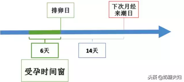 023年兔宝宝备孕时间表，2023年兔宝宝哪月备孕"