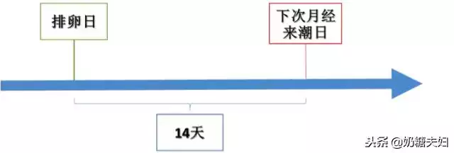 023年兔宝宝备孕时间表，2023年兔宝宝哪月备孕"