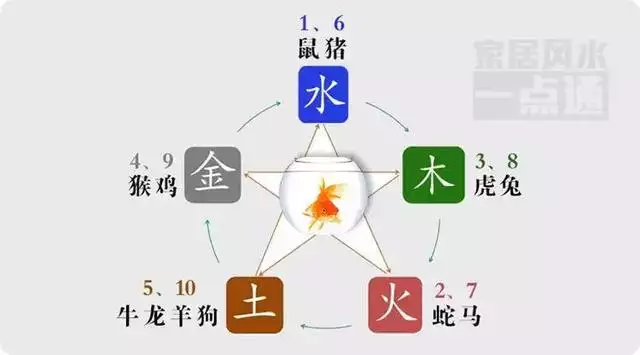 022年属蛇催旺财运，2022年属虎的几月出生更好"