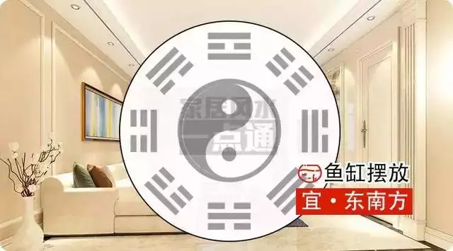 022年属蛇催旺财运，2022年属虎的几月出生更好"