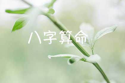 八字算命做解