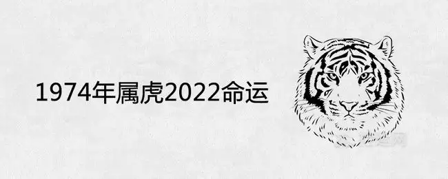 4年男虎2022年运势，1974属虎人2023年运势"