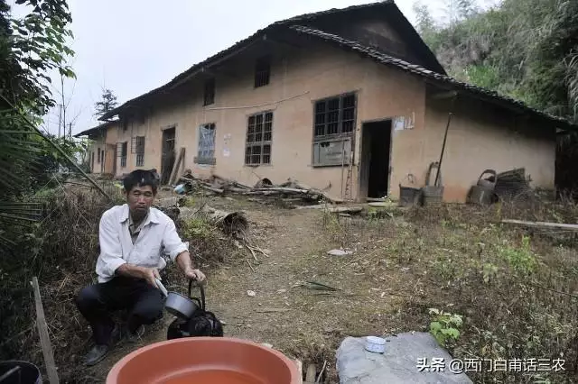 女虎配蛇男好不好，女大三岁女属虎男属蛇