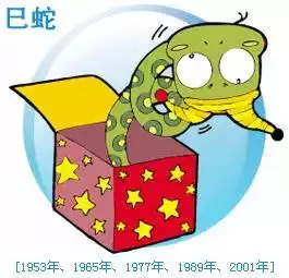 8年属龙男几月出生命好，2000年属龙几月出生好"