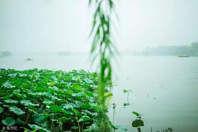 属龙犯太岁怎么化解，属龙人怎样赶走小人