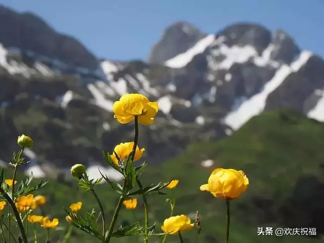 和鸡不合的生肖早安，属鸡人一生最克谁