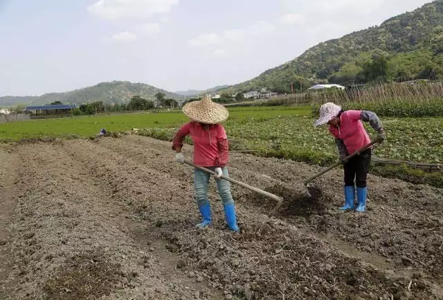 010虎百年难遇，属虎的几月出生更好命"