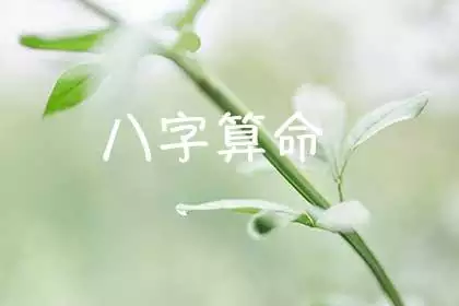 生辰八字算事业运势免费，生辰八字测算事业方向