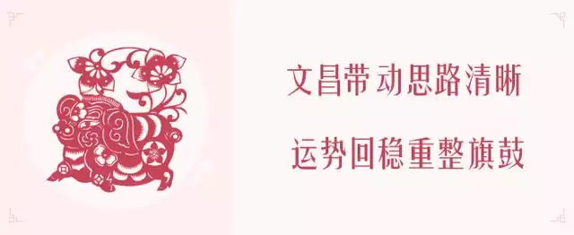 022鼠年运势麦玲玲，生肖鼠2022运势解析"