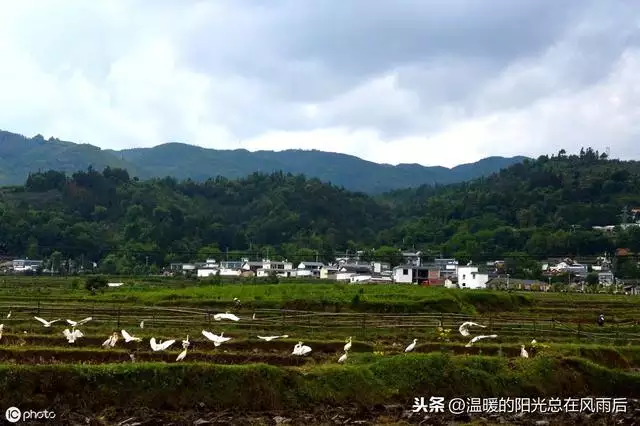 免费周易生辰八字算命详解，生辰八字五行查询