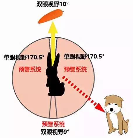 为什么蛇最配的是牛，蛇男牛女谁爱谁多