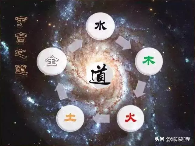 今年十二生肖排位，十二生肖排位的故事