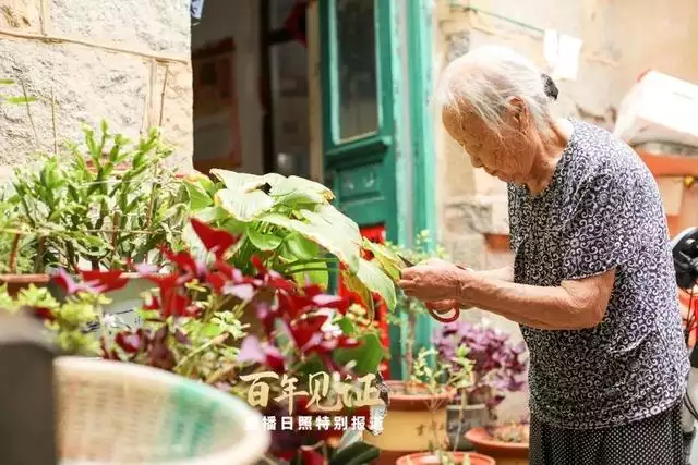 属鸡的老人去世年龄，老人去世三年有啥讲究