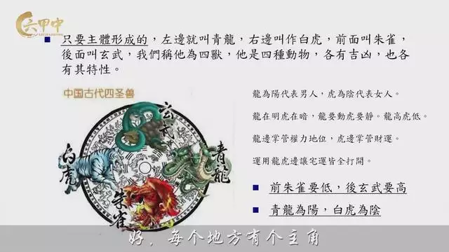 家有龙虎是不是旺，龙虎生肖相处怎么样