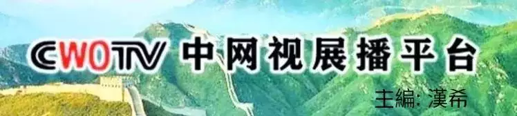 最准的12生肖年龄表2022，2022年虚岁年龄对照表