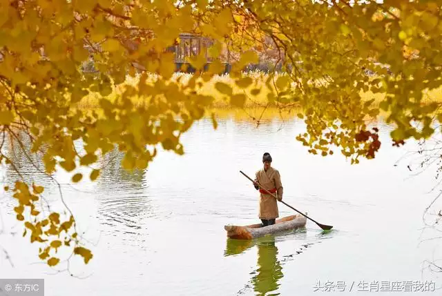 属虎出生日的人命运，哪个时辰出生是文曲星