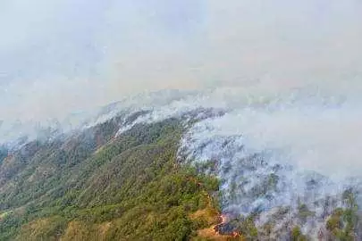 山头火绝配大林木，95年山头火命的姻缘