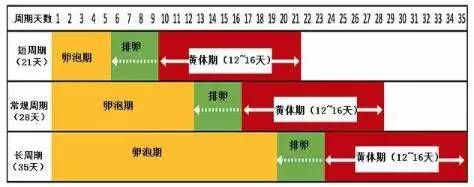 查怀孕是男是女周期表，从月份看怀孕是男是女