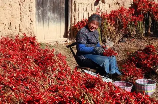 鼠和羊在一起后果，羊鼠在一起真的会死吗