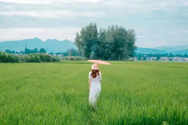 生肖狗命中注定的正缘，属狗人更佳贵人是谁