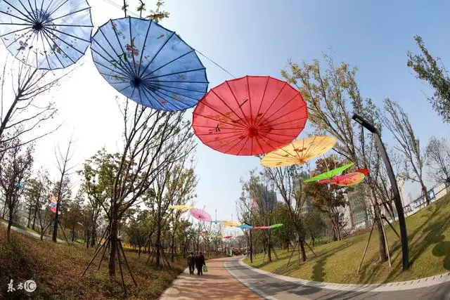 属蛇11月份的财运，蛇人今年阳历十一月运势