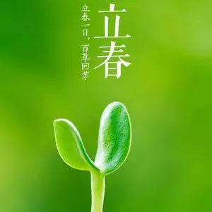 牛年是什么年份，哪些年份是牛虎年