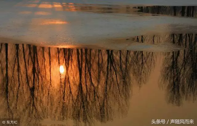 属牛生肖的今年多大年龄，属鸡的和什么属相最配