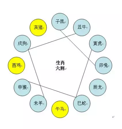 属兔三合和三冲属相，兔的六三合是什么生肖