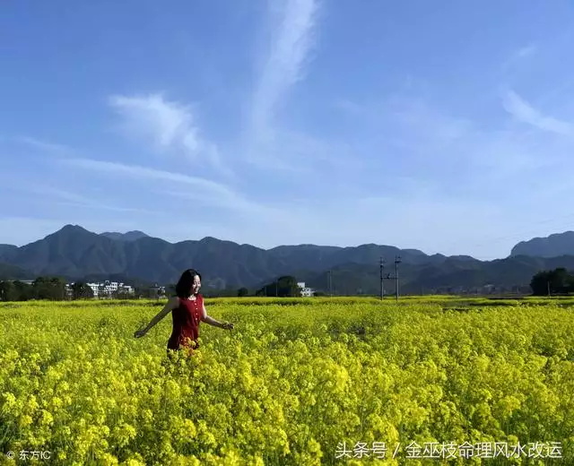 龙生在几月份更好农历，出生在几月份更好农历