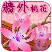 八字免费查桃花运，正缘桃花在线查询