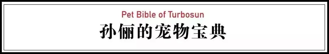 8年属狗终身寿命，1958年属狗男晚年命运"