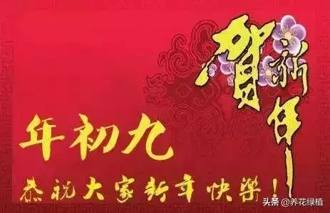 正月初九是啥日子，正月初九是几月几号