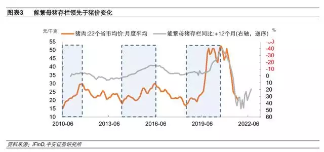 022运势测算，电脑算2022年运势测算"