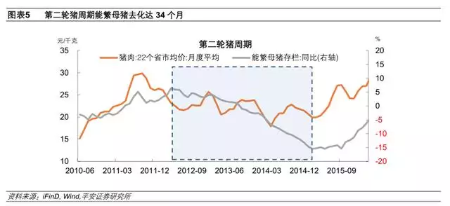 022运势测算，电脑算2022年运势测算"