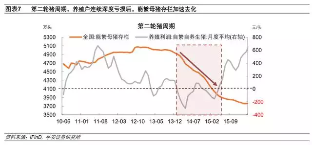 022运势测算，电脑算2022年运势测算"