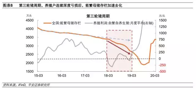 022运势测算，电脑算2022年运势测算"