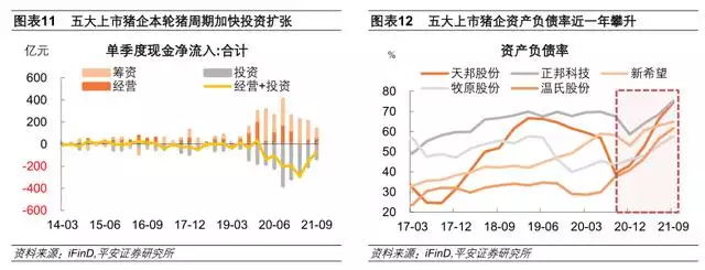 022运势测算，电脑算2022年运势测算"