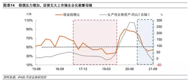 022运势测算，电脑算2022年运势测算"