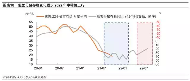 022运势测算，电脑算2022年运势测算"