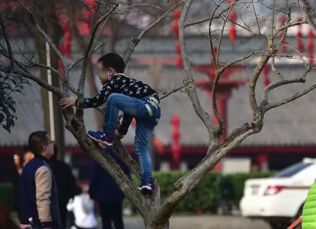 生肖属龙女不易生孩子的年份，属龙的父母生属虎宝宝