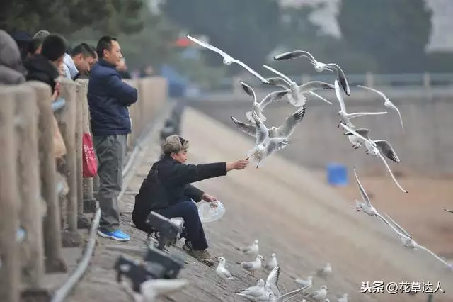 属猴万年历查询表，老黄历吉日吉时辰查询