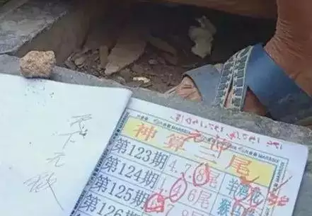 澳门12生肖号码表，澳门彩12生肖号码