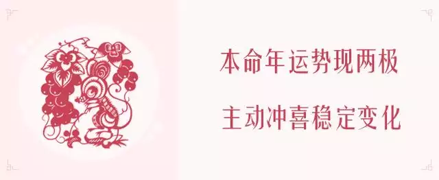 麦玲玲2022年鼠年运程书，鼠年属蛇的运势怎么样