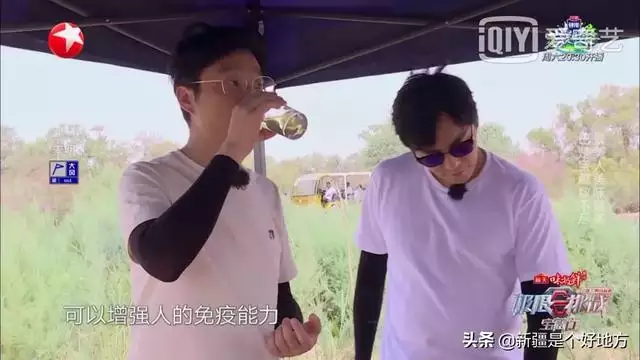 小毛驴和大黑马，人配母猪感觉很好