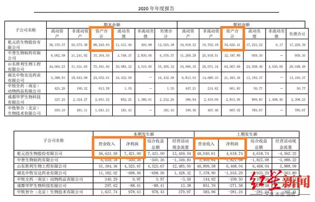 8虎和00龙相配吗，98虎和00龙"