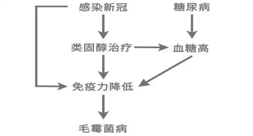 月21日出生的人很可怕，属什么的双子座命最差"